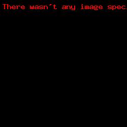 Armidale Merino Stud-IMG_6549